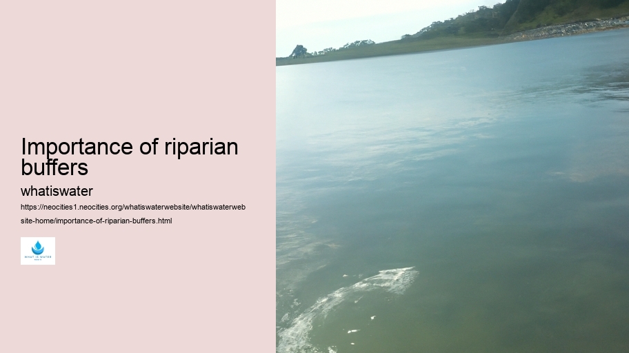 Importance of riparian buffers