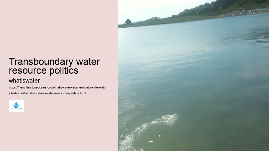 Transboundary water resource politics